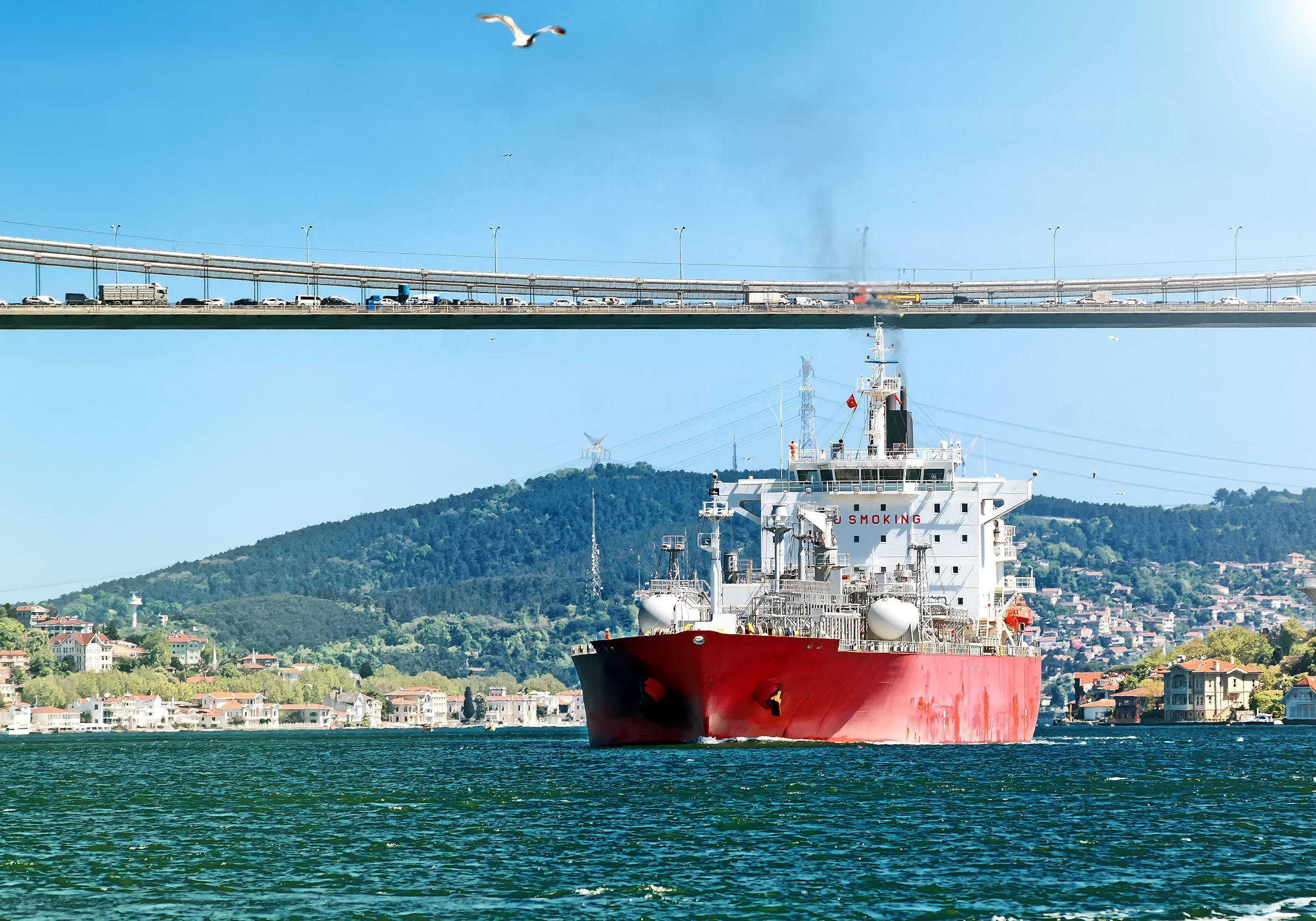 Israel's role in Turkey's gas hub