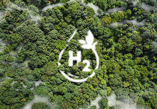 World Hydrogen 2024 Returns To Rotterdam   Hydrogen Forest Home 