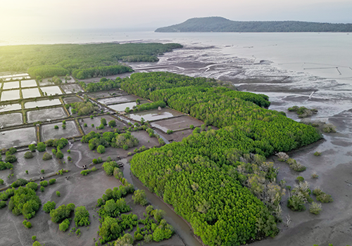 Southeast Asia unlocks its carbon trading potential – Market-Reporter